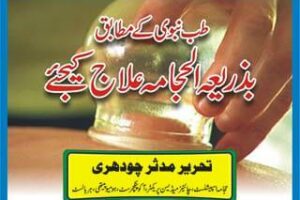 Hijama History