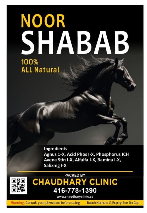 noor shabab