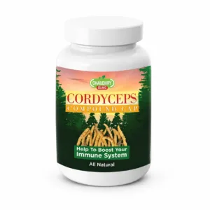 Cordyceps Compound Capsules natural immune and energy support supplement bottle
