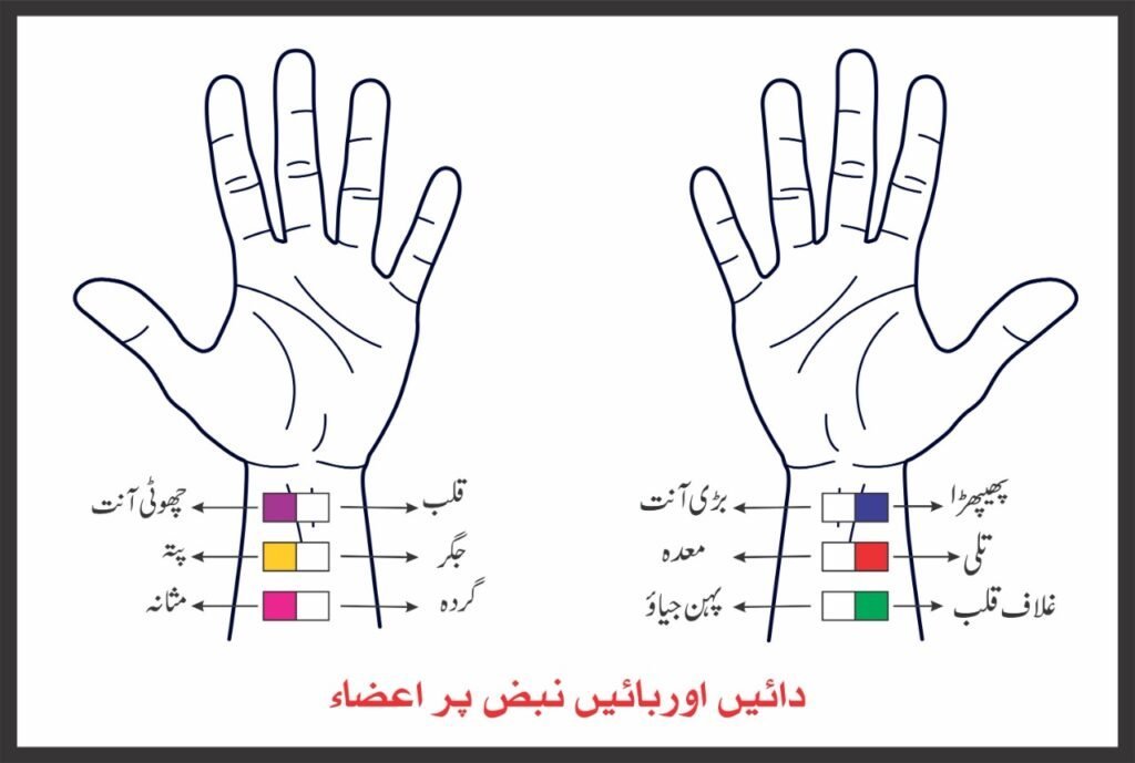 WhatsApp-Image-2022-10-26-at-11.48.08-AM-1024×689